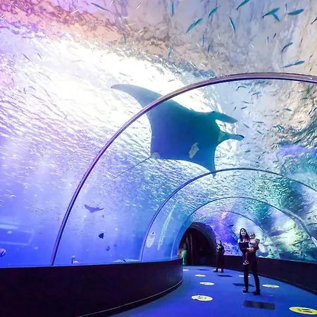 Apartmán Meuble Cote D'opale *